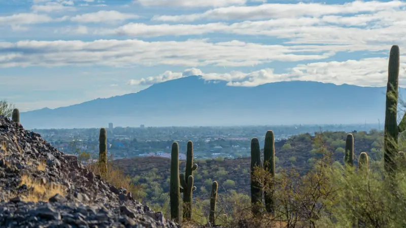 A mountain range seen over saguaro cacti near Tucson, Arizona